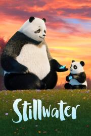Stillwater filmas
