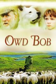 Owd Bob filmas