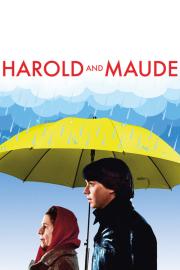 Harold and Maude filmas