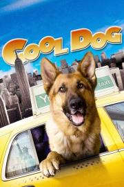 Cool Dog filmas
