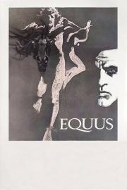 Equus filmas