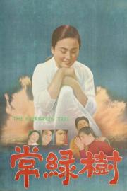 The Evergreen Tree filmas