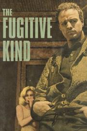 The Fugitive Kind filmas
