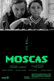 Moscas filmas