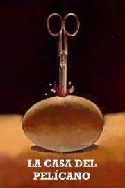 The House of the Pelican filmas