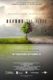 Before the Flood filmas