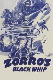 Zorro's Black Whip filmas