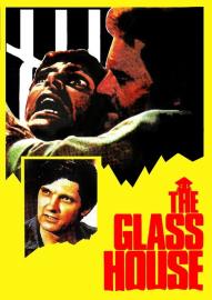The Glass House filmas