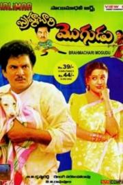 Brahmachari Mogudu filmas