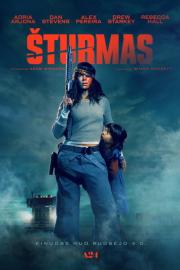 Šturmas filmas
