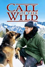 Call Of The Wild filmas
