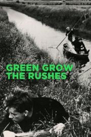 Green Grow the Rushes filmas
