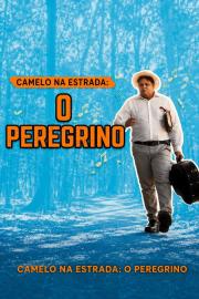 Camelo na Estrada filmas