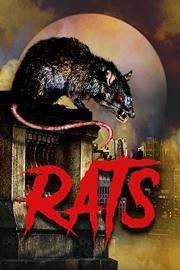 Rats filmas