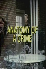 Anatomy of a Crime filmas