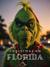 Christmas In Florida filmas