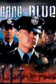 Gang in Blue filmas