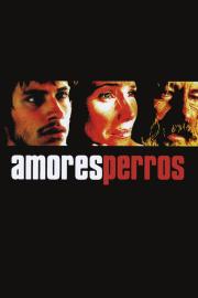 Amores perros filmas