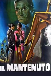 Il mantenuto filmas