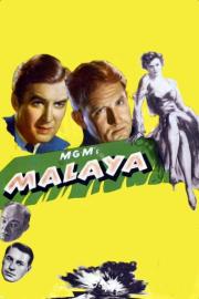Malaya filmas