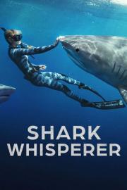 Shark Whisperer filmas