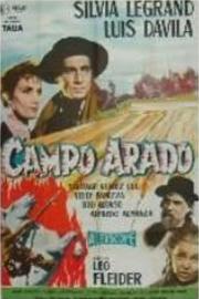 Campo arado filmas