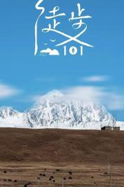 徒步101 filmas