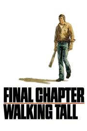 Final Chapter: Walking Tall filmas