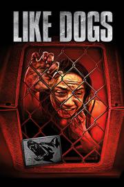 Like Dogs filmas
