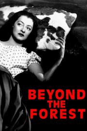 Beyond the Forest filmas