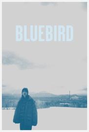 Bluebird filmas