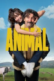 Animal filmas