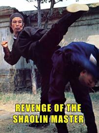 Revenge of a Shaolin Master filmas