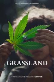 Grassland filmas
