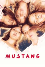 Mustang filmas