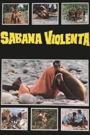 This Violent World filmas