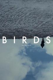 Birds (Or How to Be One) filmas