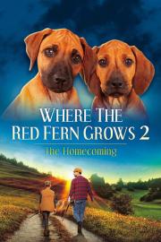 Where The Red Fern Grows Part 2 filmas