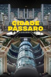 Cidade Pássaro filmas