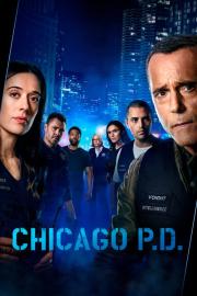 Čikagos policija filmas