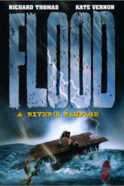 Flood: A River's Rampage filmas