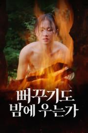 Shall Cuckoo Sing at Night filmas