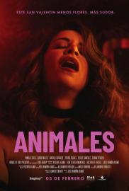 Animales filmas