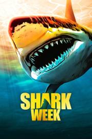 Shark Week filmas