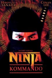 Ninja in the Dragon's Den filmas