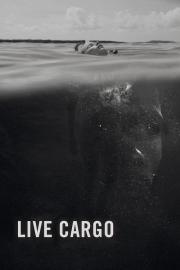 Live Cargo filmas