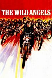 The Wild Angels filmas