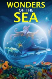 Wonders of the Sea 3D filmas