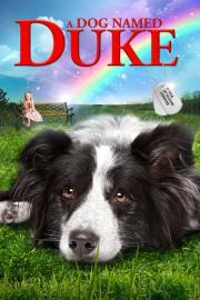A Dog Named Duke filmas