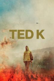 Tedas K filmas